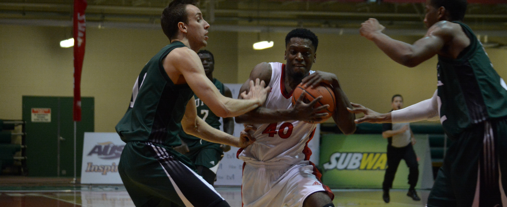 Sea-Hawks Look to Tame Panthers