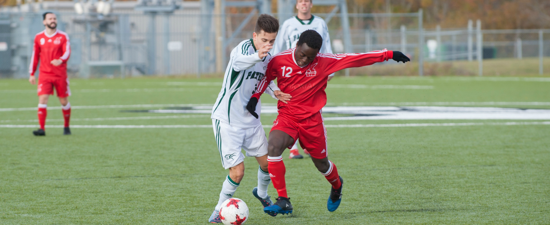 Sea-Hawks & Panthers battle to draw