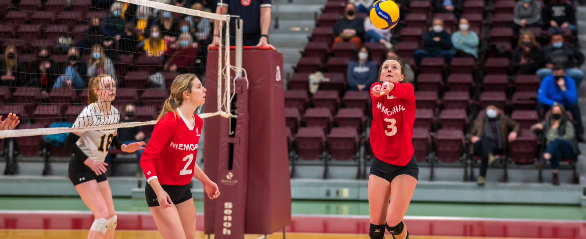 Sea-Hawks with Encouraging Performance, But Tigers Complete Sweep