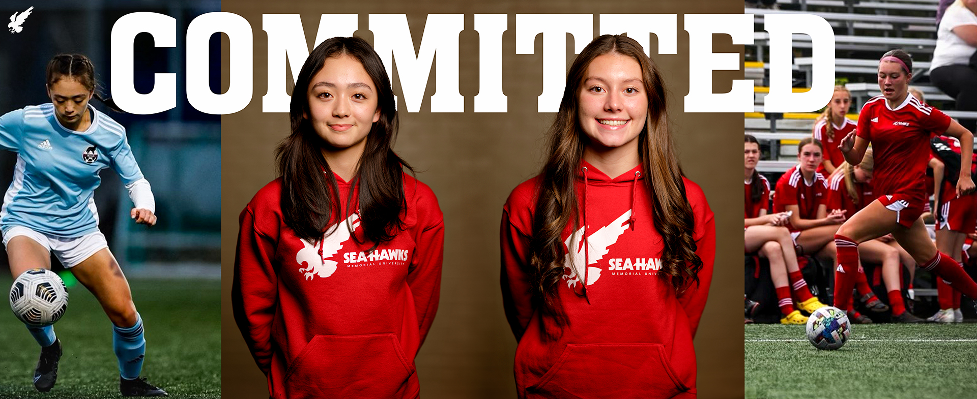 Sea-Hawks Sign Attacking Duo