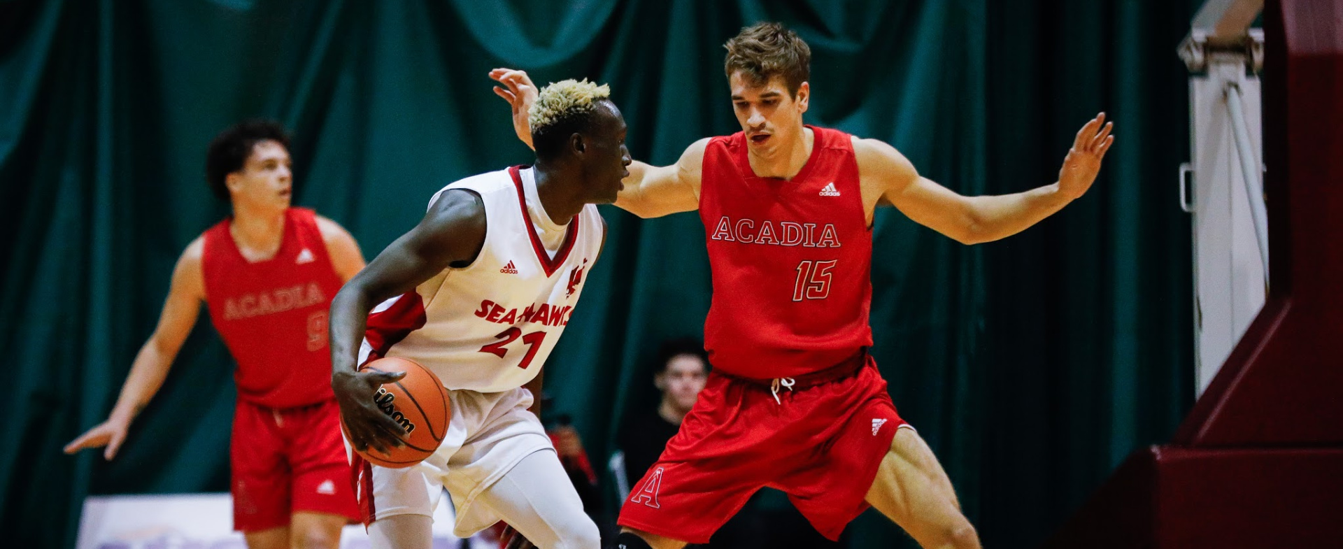 Sea-Hawks Look for Two Road Wins