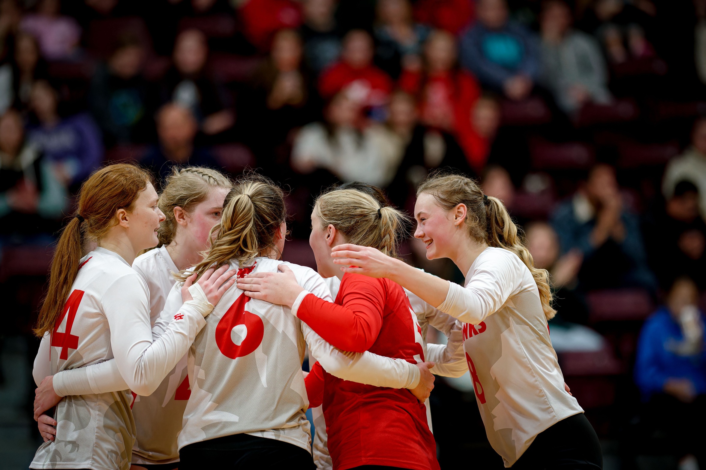 Sea-Hawks Host last at Home Weekend Before the New Year