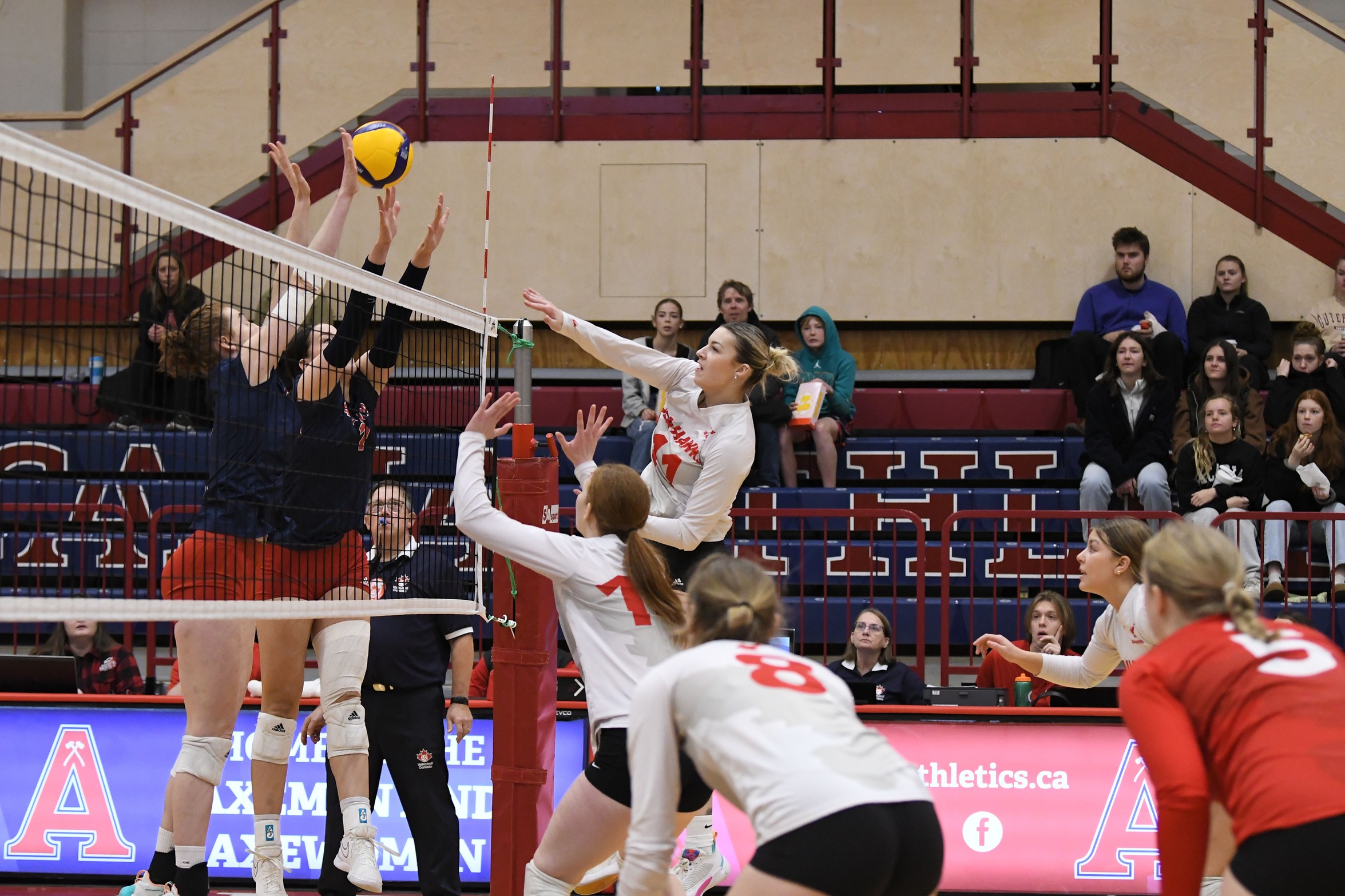 Sea-Hawks get swept for last weekend of the semester